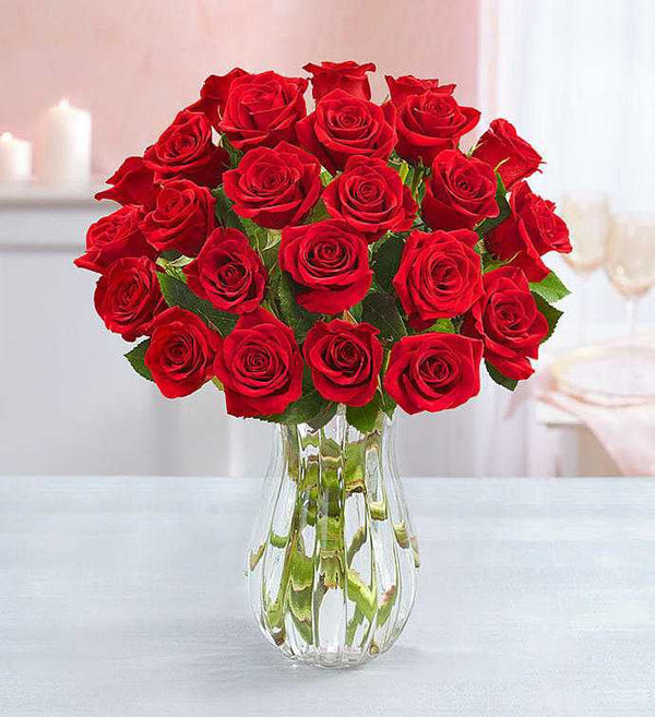 24 Red Roses