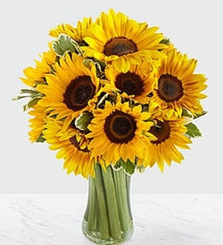 Sunny Sunflower Arrangement